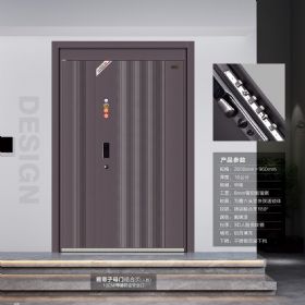 安全艺墅门雅帝子母门暗合页(人脸)