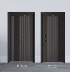 千祺入户门雅帝
